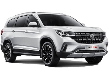 DONGFENG FORTHING T5L (R - 002)
